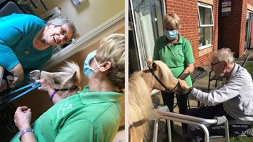 A visit from KL Ponies at Pontefract care home